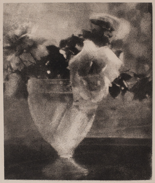 Céline Laguarde - Nature morte