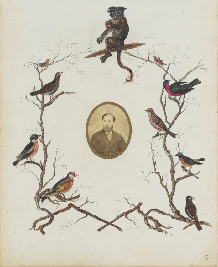 Portrait d'homme dans un encadrement de branches sur lesquelles sont posés un singe et divers oiseaux - Georgiana Louisa Berkeley