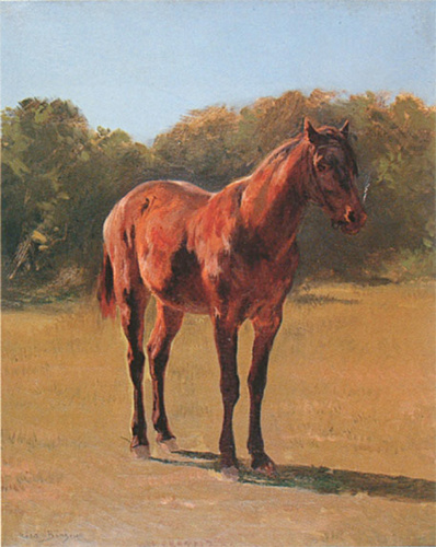 Rosa Bonheur - Etude de cheval bai