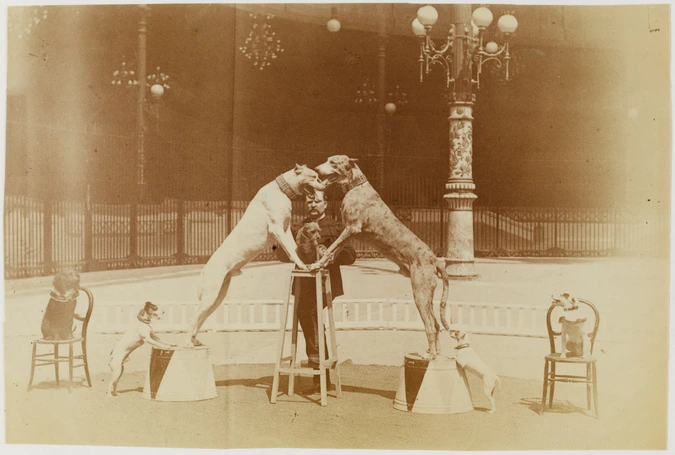 Albert Londe - Hippodrome de l'Alma, dresseur et ses chiens