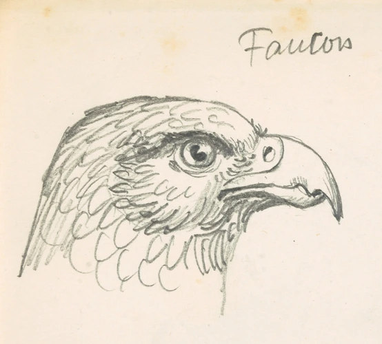 Mascotte à Tête De Faucon Avec Modèle Jersey Et Lanyard Illustration de