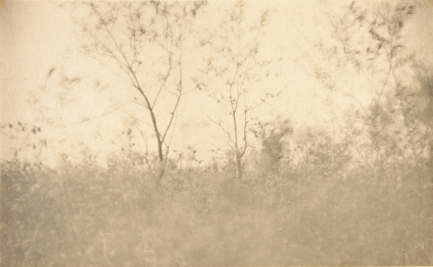Joseph Keiley - Spring