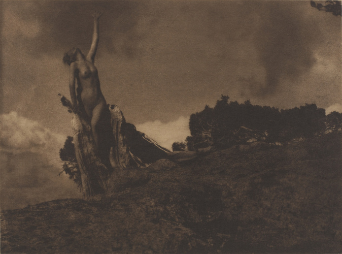 Anne Brigman - Soul of the Blasted Pine