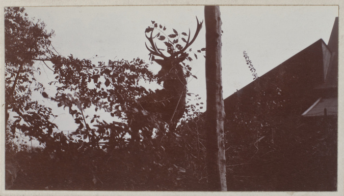 Anonyme - Villers-Cotterêts en octobre