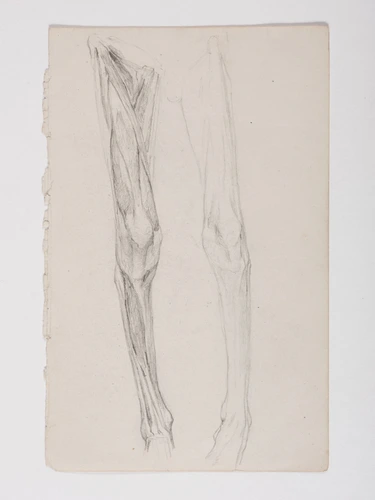 Jacques De Lalaing - Etude anatomique de jambes
