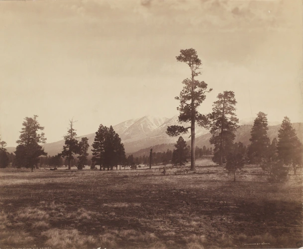 William Henry Jackson - San Fransisco Mounts, Arizona