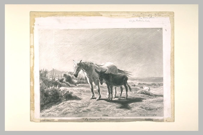 Henry Bonnefoy - Cheval blanc et âne tournés vers la gauche