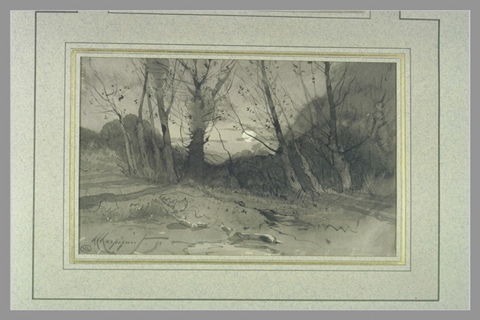 Prairie et arbres, la nuit