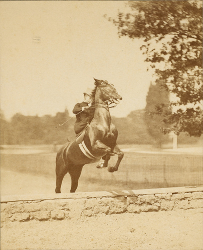 Louis Jean Delton - Cavalière en amazone sautant un obstacle