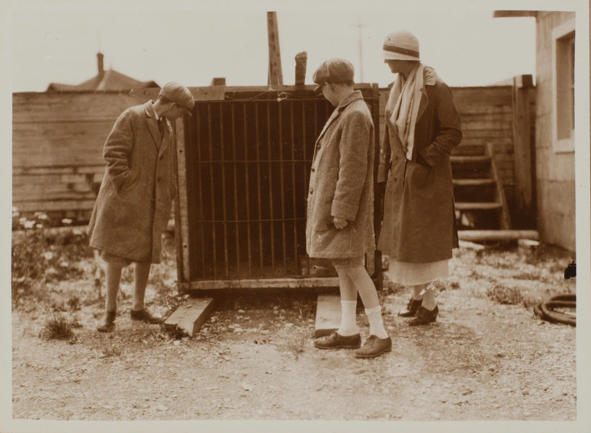 Anticosti, Simone, Hubert et Jean Menier devant une cage - Anonyme