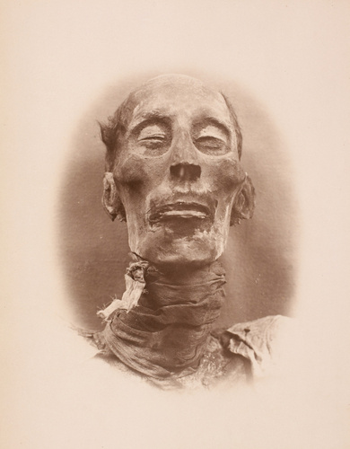 Anonyme - Momie, Ramsès II, tête de face