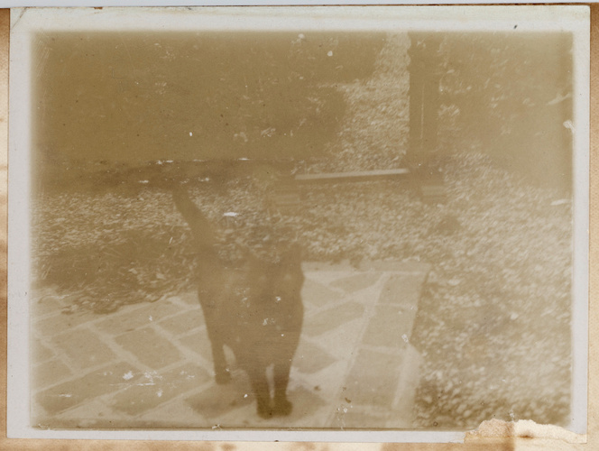 Anonyme - Chat noir dans un jardin