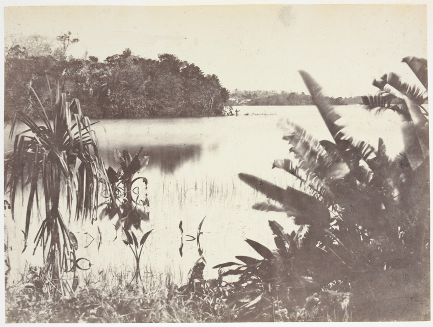 Désiré Charnay - Vue de marais