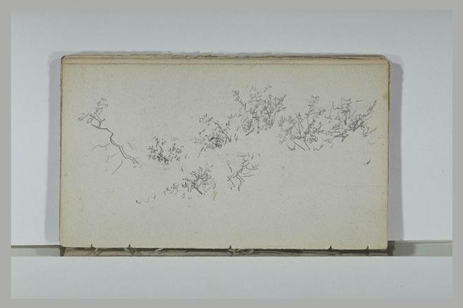 Alphonse de Neuville - Broussailles