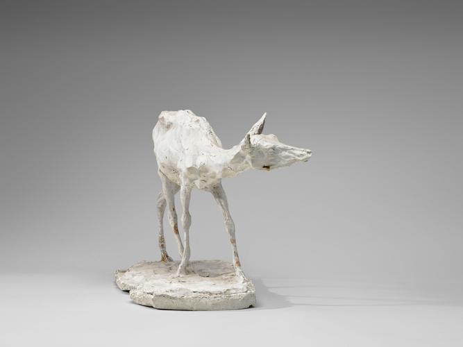Biche marchant