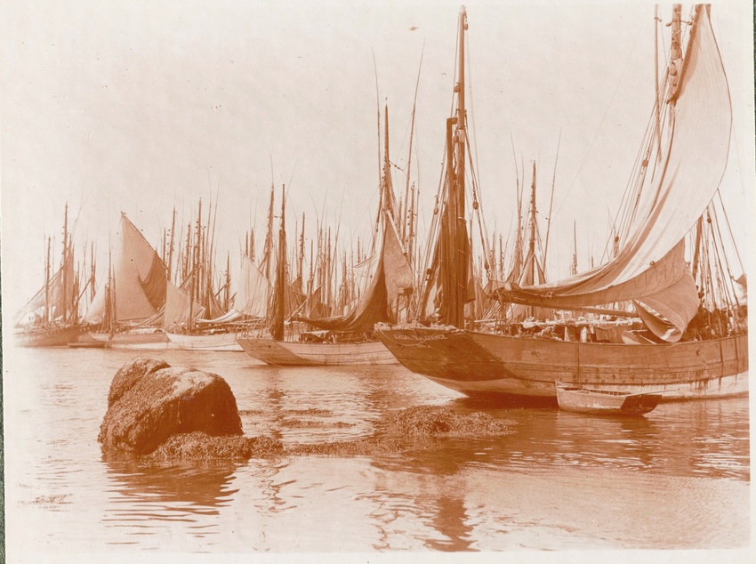 Charles Augustin Lhermitte - Rassemblement de thoniers, Concarneau