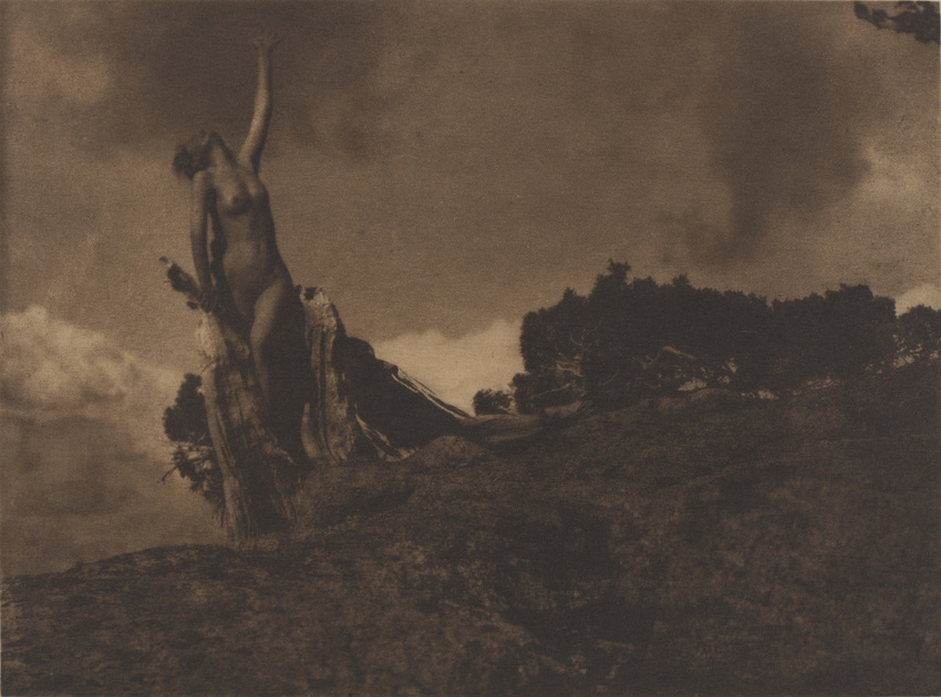 Anne Brigman - Soul of the Blasted Pine