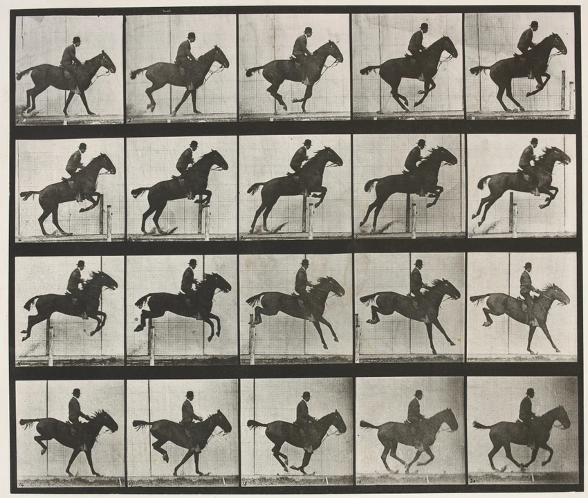 Eadweard Muybridge - Saut d'obstacle, cheval noir