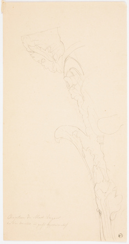 Alphonse Gosset - Rome, temple de Mars vengeur, profil d'un chapiteau