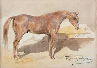 Rosa Bonheur - Etude de cheval alezan