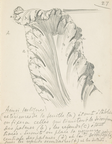 Eugène Grasset - Feuille à retroussis
