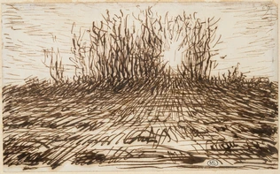 Boqueteau transpercé par le soleil couchant au fond d'un champ - Jean-François Millet