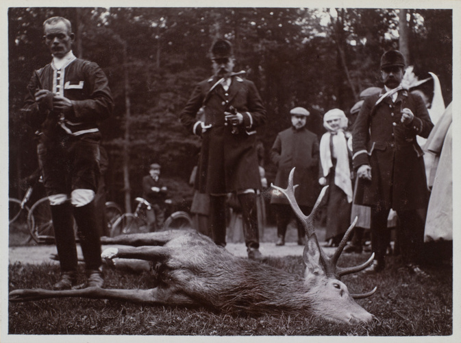 Anonyme - Villers-Cotterêts en octobre