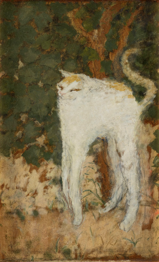 Le Chat blanc - Pierre Bonnard | Musée d'Orsay