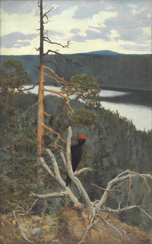 Palokärki ; le Grand Pic noir