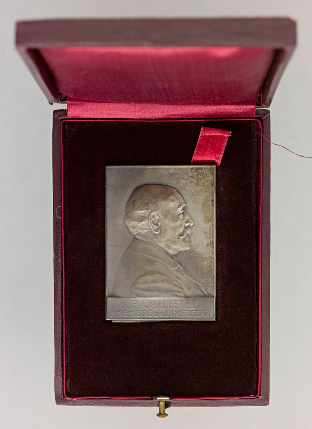 Médaille du jubilé académique au nom de L. P. Cailletet, dans son écrin - Frédéric de Vernon