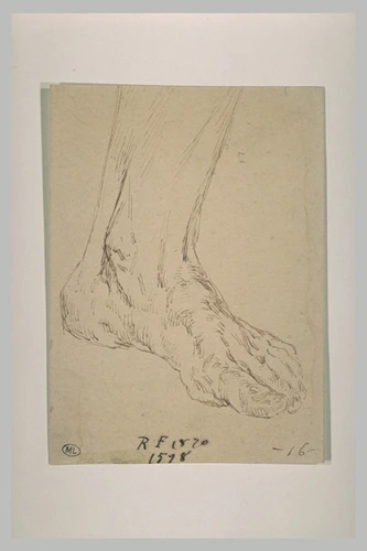 Ferdinand Gaillard - Etude d'un pied