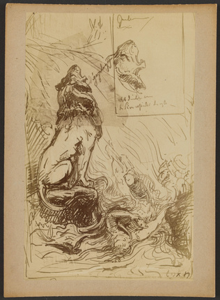 D. Freuler - Photographie d'une feuille de croquis de lion hurlant et personnage...