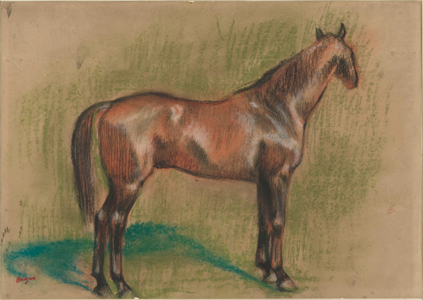 Cheval tourné vers la droite - Edgar Degas