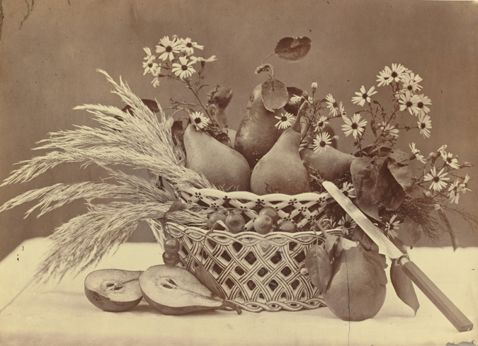 Charles Aubry - Nature morte : coings dans une assiette, feuillages et fleurs da...