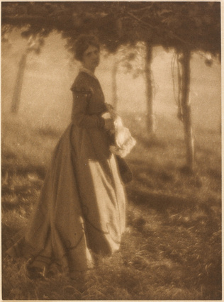 Clarence Hudson White - The Arbor