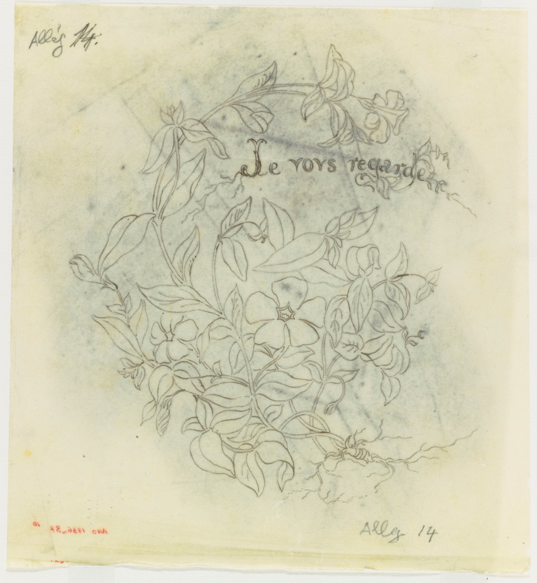Emile Gallé - Poncif pour le décor Allégories : plant de pervenches avec légende...