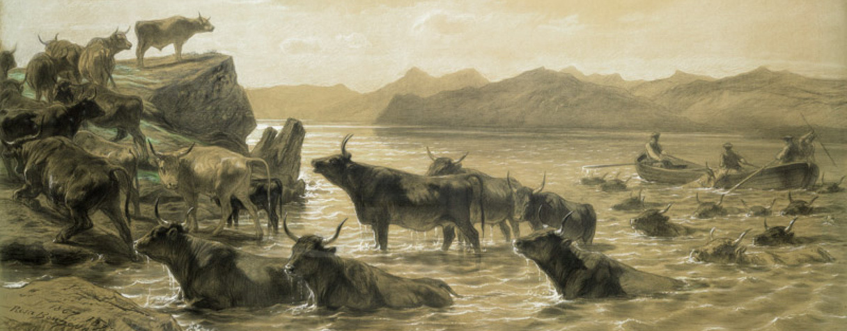 Bœufs traversant un lac devant Ballachulish (Ecosse) ou Troupeau traversant une rivière (entre 1867 et 1873), Bonheur, Rosa