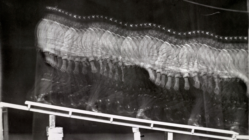ÉTIENNE - JULES MAREY_Collection La Cinémathèque française