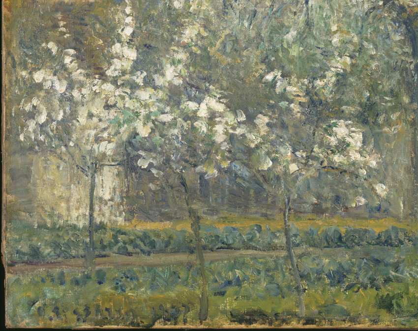 Printemps. Pruniers en fleurs - Camille Pissarro