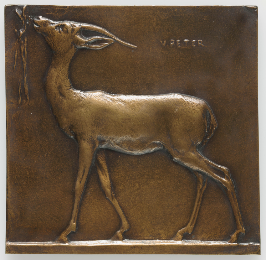 Gazelle broutant - Victor Peter