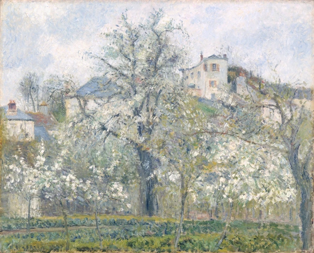 Printemps. Pruniers en fleurs - Camille Pissarro