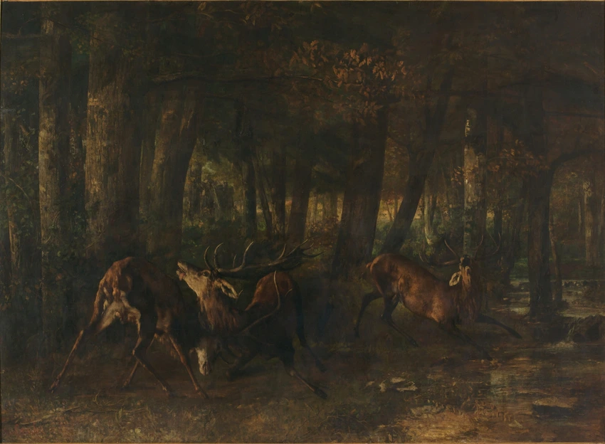 Le Rut du printemps. Combat de cerfs - Gustave Courbet