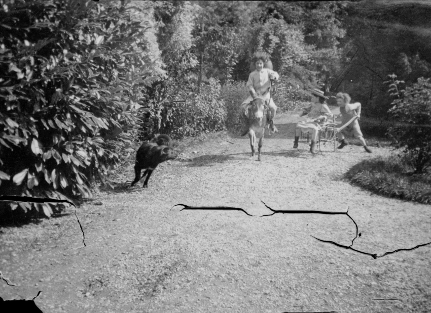 Jean montant Trotty, Robert poussant Renée, et au premier plan un chien - Pierre Bonnard