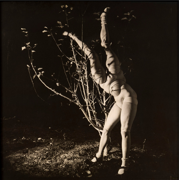Hans Bellmer-La Poupée