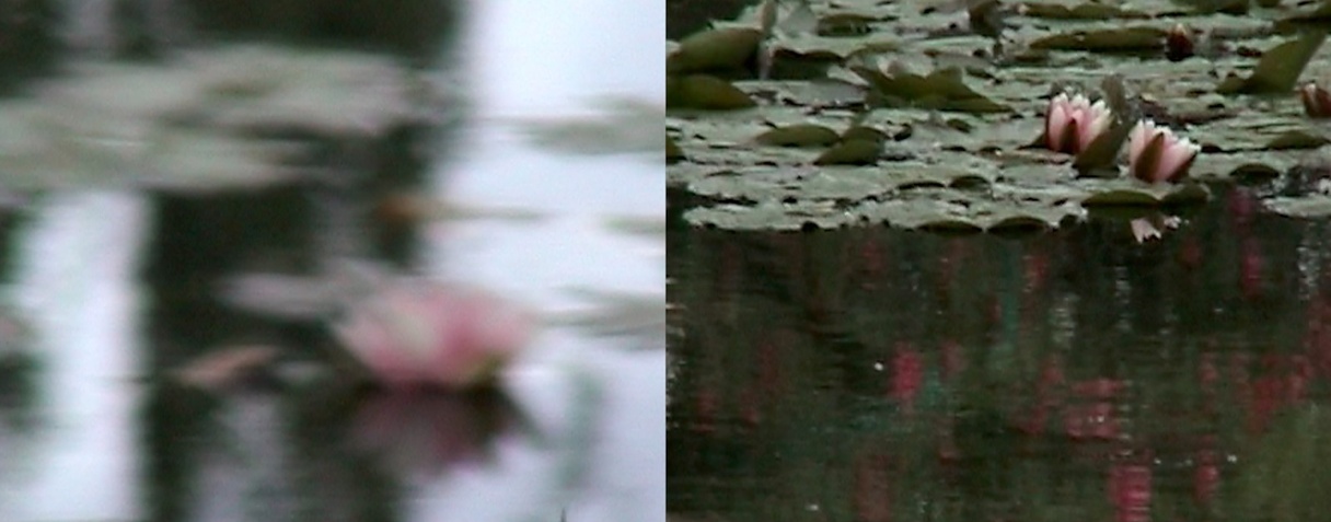(D')Après Monet, Ange Leccia