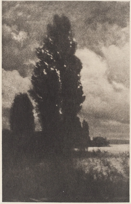 Poplars and Clouds - Hans Watzek