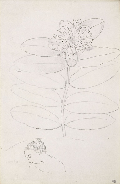 Odilon Redon-Branche de mille-pertuis, et profil de femme