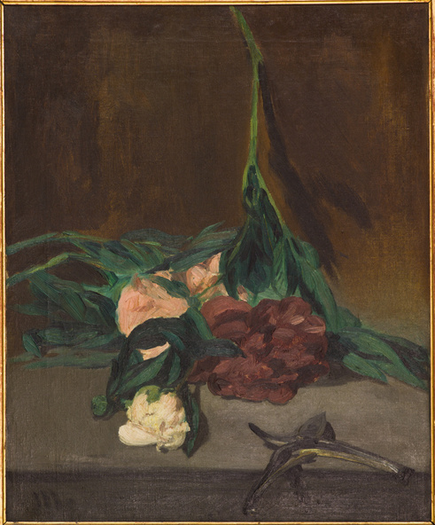 Edouard Manet-Tige de pivoines et sécateur