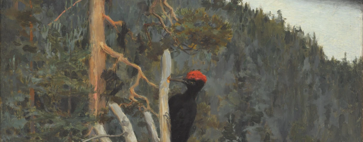 tableau, Akseli Gallen-Kallela, Palokärsi ; le Grand Pic noir, en 1894