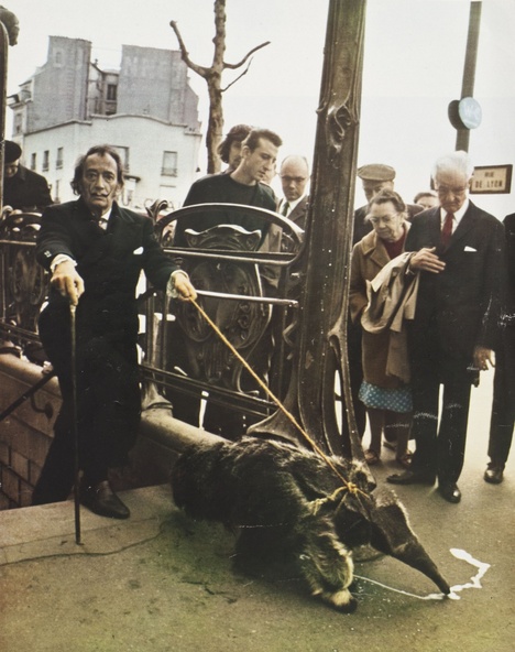 Photographie par Patrice Habans, Paris-Match n°1055, 26 juillet 1969-Salvador Dali sortant du sous-sol du subconscient tenant en laisse un tamanoir romantique, l'animal qu'André Breton avait choisi comme ex-libris